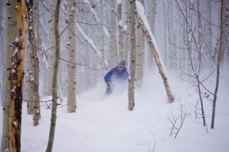 Best Snowboard For Trees: What To Look For